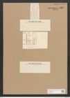 Nitzschia perpusilla Rabh. (de-Toni-Nr.: Genus 47, Species 2138) Zeichnungen Sammlung Grunow Nr. 4307 (NHMW-BOT-W0372327)